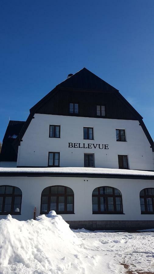 Luxusni Mezonetovy Apartman Bellevue - Novy Бенецко Екстериор снимка